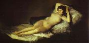 Francisco Jose de Goya The Nude Maja china oil painting artist
